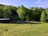 3975 Jarman Hollow Rd - Photo 86
