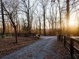 7305 Michael Lankford Rd - Photo 28