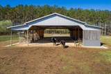925 Bumpas Rd - Photo 39