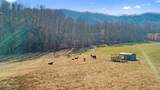 1013 Cloud Creek Rd - Photo 19