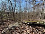 2 South Pittsburg Mtn Road - Photo 3