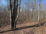 2 South Pittsburg Mtn Road - Photo 7