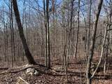 3 South Pittsburg Mountain - Photo 2