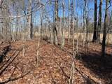3 South Pittsburg Mountain - Photo 4