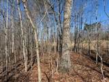3 South Pittsburg Mountain - Photo 7