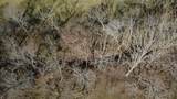 0 Lick Creek Trail - Photo 42