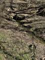 0 Lick Creek Trail - Photo 67