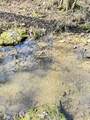 0 Lick Creek Trail - Photo 73