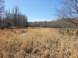 603 Gobbler Dr - Photo 3