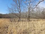 603 Gobbler Dr - Photo 6