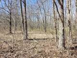 603 Gobbler Dr - Photo 10