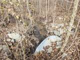 0 Birdsong Rd - Photo 16