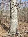 0 Birdsong Rd - Photo 20