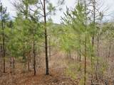0 Birdsong Rd - Photo 44