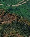 0 Birdsong Rd - Photo 55