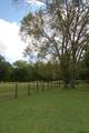 160 Sinking Creek Rd - Photo 31