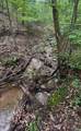 1442 Overlook Trail - Photo 22