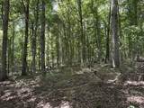 0 Middle Lick Creek Rd - Photo 1