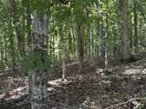 0 Middle Lick Creek Rd - Photo 3