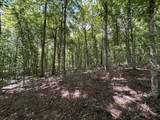 0 Middle Lick Creek Rd - Photo 5