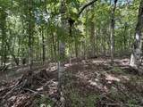 0 Middle Lick Creek Rd - Photo 6