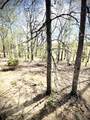 11694 West Green Hill Rd - Photo 9