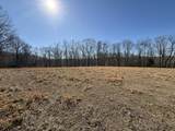 4 N Lick Creek Rd - Photo 2