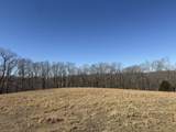 4 N Lick Creek Rd - Photo 11