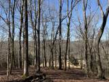 4 N Lick Creek Rd - Photo 12