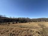 4 N Lick Creek Rd - Photo 16