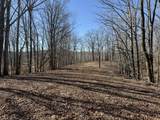 4 N Lick Creek Rd - Photo 3