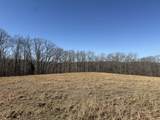 4 N Lick Creek Rd - Photo 6