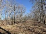 4 N Lick Creek Rd - Photo 7