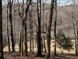 4 N Lick Creek Rd - Photo 10