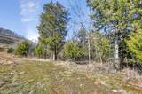 325 Freeman Ln - Photo 37
