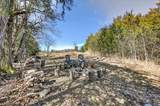 325 Freeman Ln - Photo 39