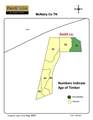 0 Smith Rd - Photo 10