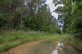 115 Baudy James Road - Photo 13