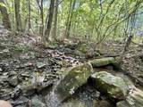3773 Glade Creek Rd - Photo 58