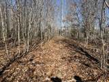 240 Golden View Ln - Photo 15
