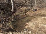 240 Golden View Ln - Photo 7