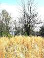 0 Turtle Point Lane - Photo 17