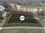 7342 Harlow Dr - Photo 2
