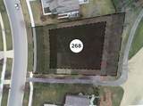7342 Harlow Dr - Photo 4