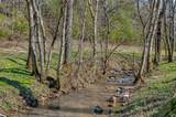 3331 Adamson Branch Rd - Photo 41