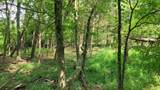 3 Knight Campground Rd - Photo 7