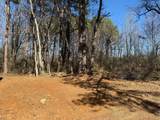 17315 Al Highway 251 - Photo 3