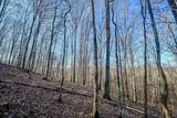 0 Mayberry Prong Rd - Photo 12