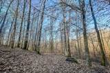 0 Mayberry Prong Rd - Photo 13