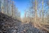 0 Mayberry Prong Rd - Photo 15